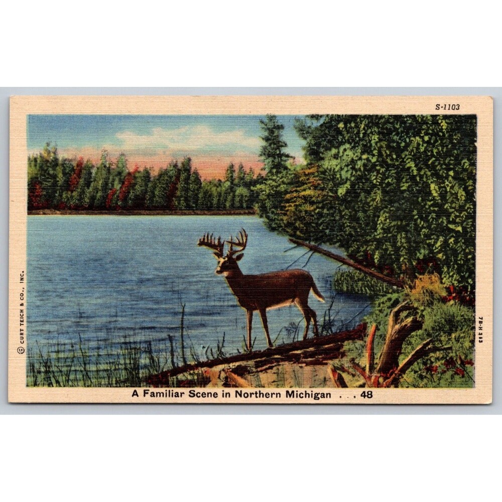 1947 Northern Michigan Linen Postcard Buck Deer at Lake Curt Teich 7B-H313